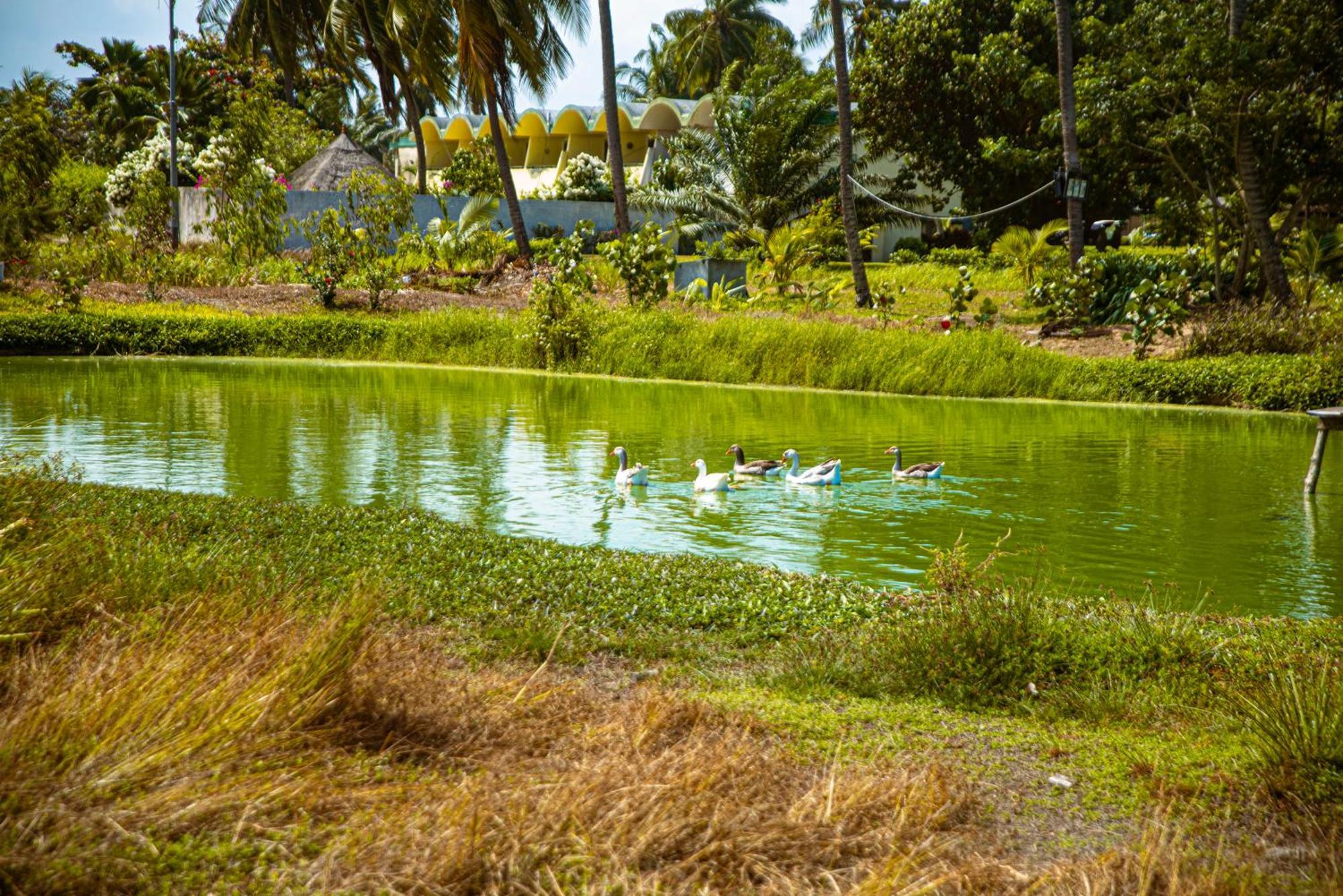 Hotel Sarakawa โลเม ภายนอก รูปภาพ